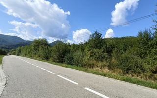 Teren  construibil ,la sosea, intre Vale si Sibiel, zona cu potential - Poză 12