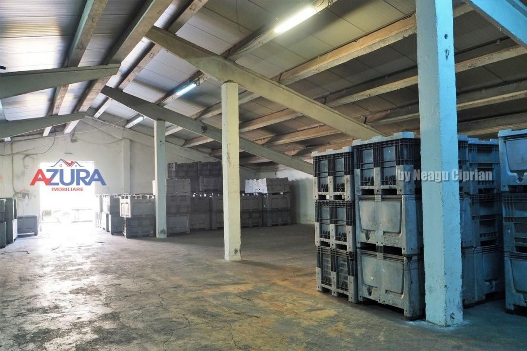 COMISION 0% - HALE Calinesti Arges - Poză 50