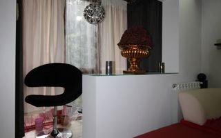 Take Ionescu, 3 camere, centrala proprie. - Poză 6