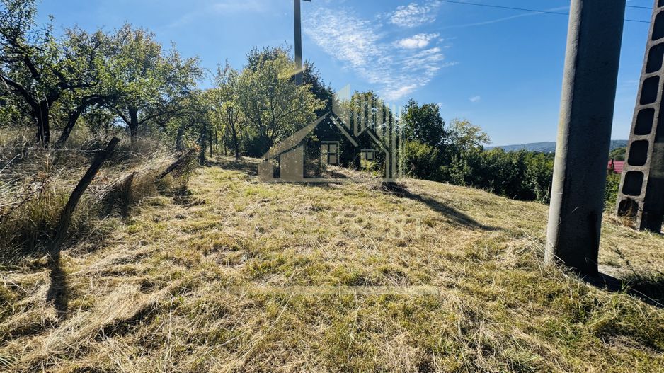 TEREN INTRAVILAN 3234 MP LEREȘTI VOINEȘTI ARGEȘ - Poză 17