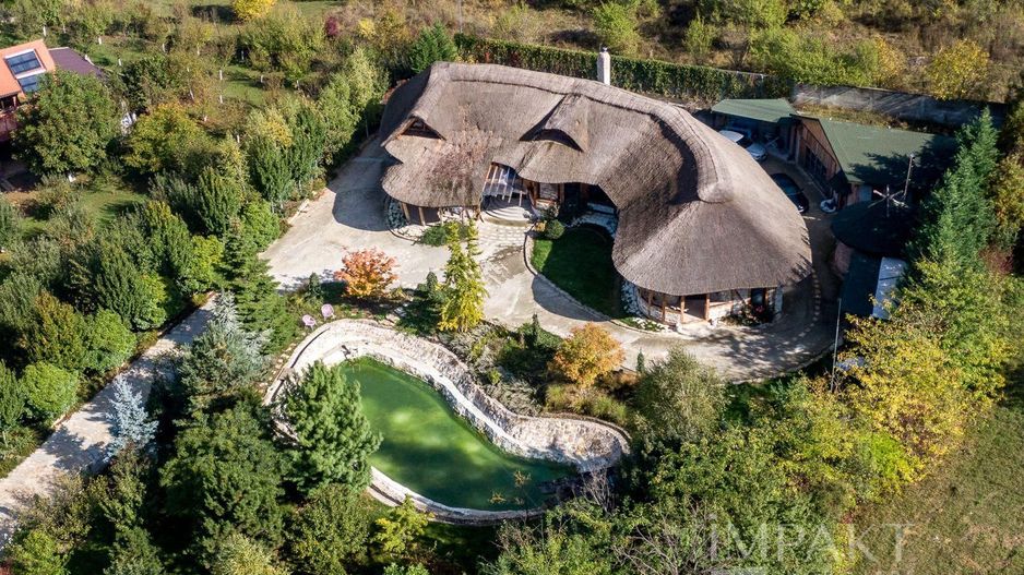 De vanzare casa unica pe teren de 3400mp, cu iaz si gradina - Borhanci - Poză 24