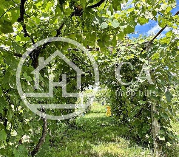 Casă de vânzare cu 3 camere în Ineu de Criș, Bihor - Poză 12