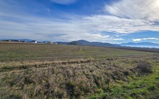 Teren 30.000 mp  – PUZ aprobat pentru ansamblu locuințe - Poză 6