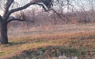 Vanzare teren - zona Ciurea, spre Piciorul Lupului. - Poză 5