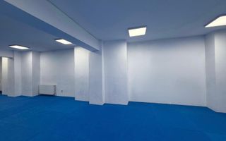 INCHIRIERE SPATIU DEMISOL | BARBU VACARESCU  | 196MP | - Poză 3