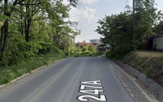 Teren pădure 3650 mp cu deschidere 42 m la Șos. Bârnova, ideal investiție pe termen mediu și lung - Poză 2