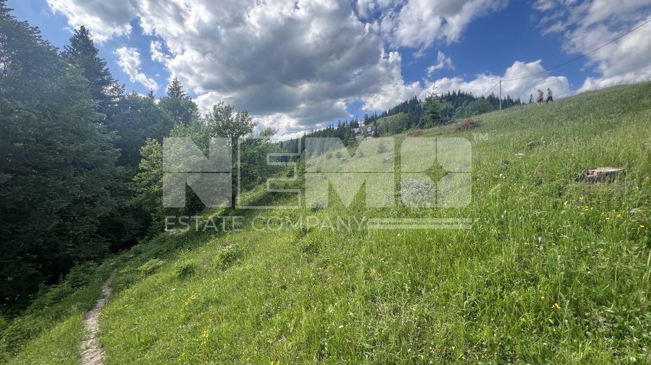 Teren Intravilan | Brodina de Jos | 16900 MP - Poză 7