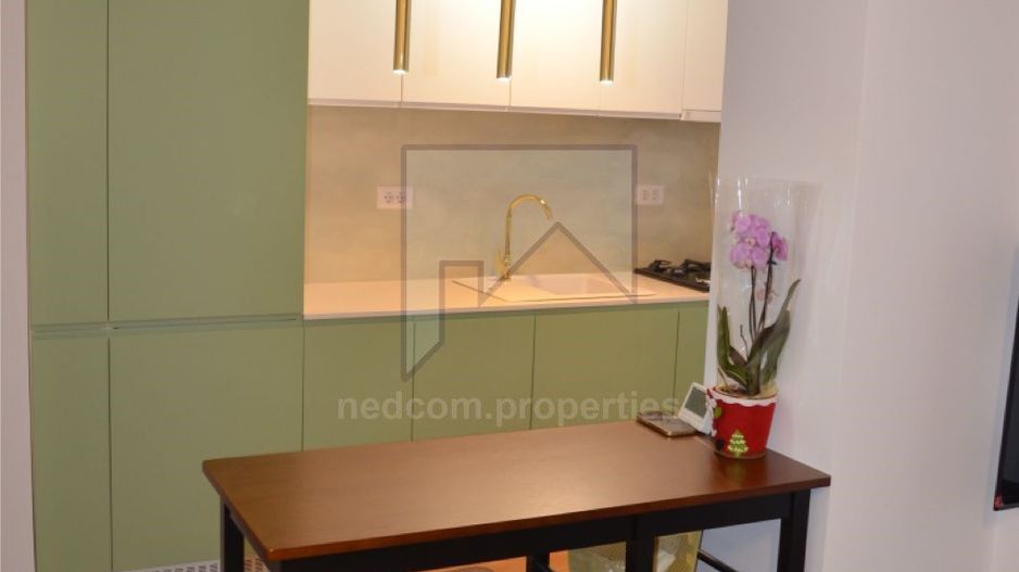 Inchiriere Apartament 2 camere - Palatul Cotroceni_-Leu - Poză 2