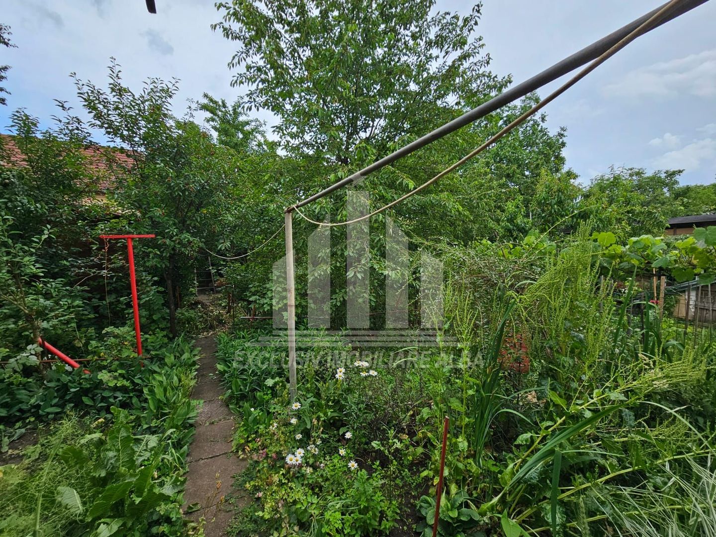 Casa tip duplex de vanzare, Cetate - Poză 9