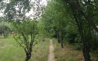 CASA INDIVIDUALA - SOSEAUA OLTENITEI - 1500 MP TEREN - Poză 21