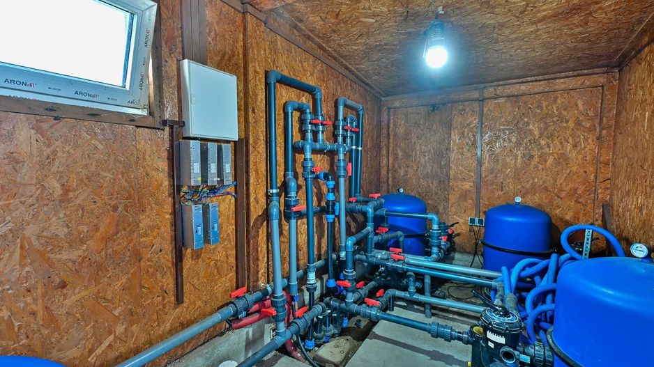 Sala de evenimente cu  piscina si foisor Biled COMISION 0 % CUMPARATOR - Poză 48