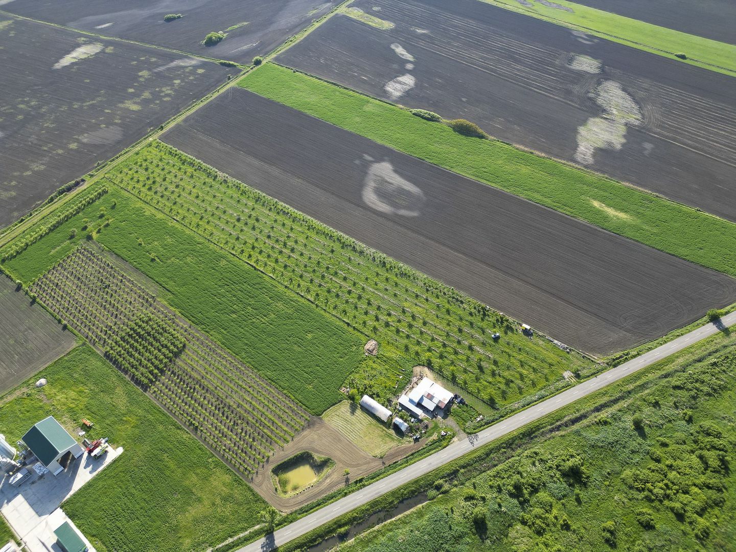 Livadă de nuci și pruni 2.4ha în Variașu Mare - Poză 20