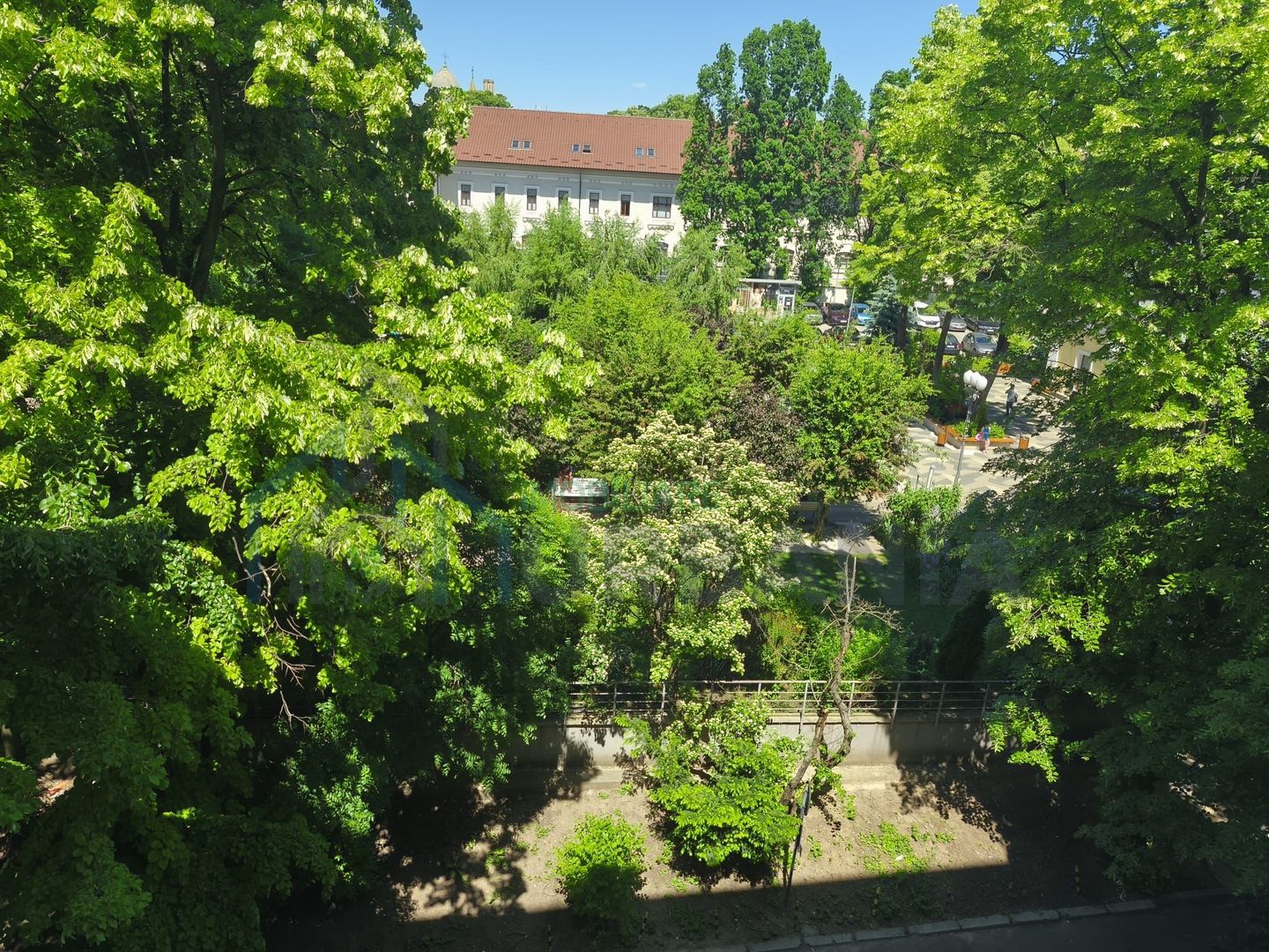Apartament 3 camere ultracentral, etaj intermediar, lift, vedere la Parcul Starea Civila, Iasi - Poză 5