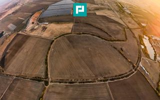 Teren arabil 68,800mp Zimandu Nou - Poză 6