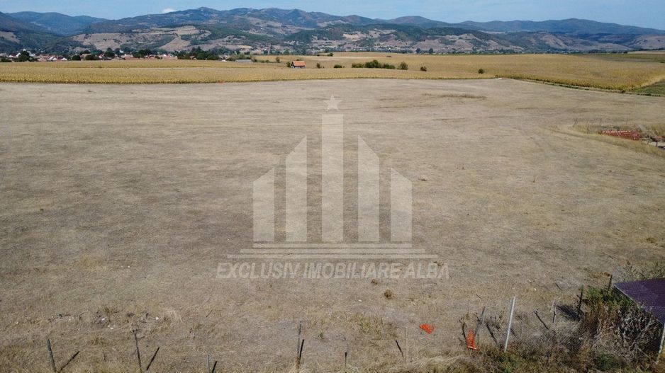 Teren pentru contructii industriale (hale, depozite), aproape de Sebes - Poză 5