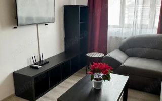 Apartament 2 camere cu gradina Editurii - Lunca Cetatuii - Poză 4