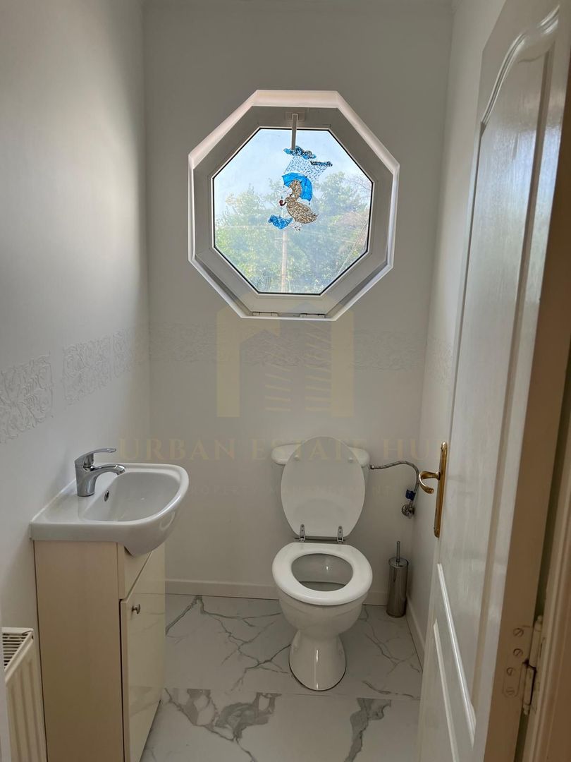 Închiriere casa individuala, 390 mp, teren 800, Gruia - Poză 22
