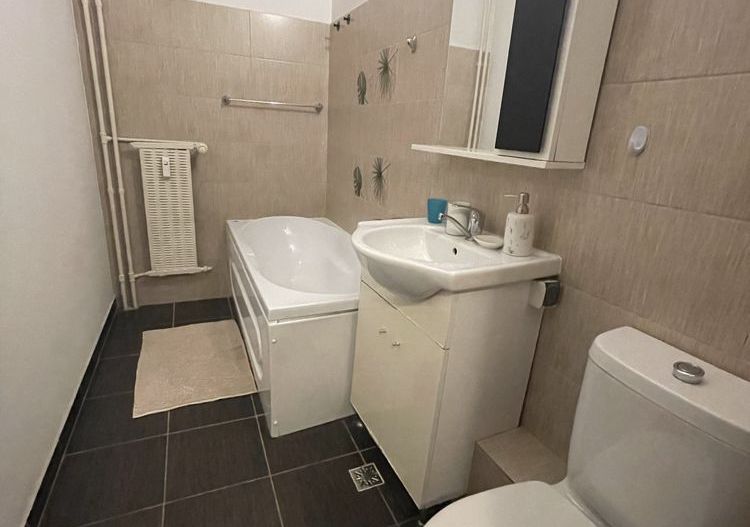 Garsonieră spațioasă de închiriat Nerva Traian – Timpuri Noi - Poză 8