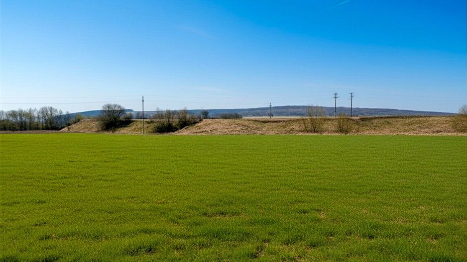 Teren 12.400 MP | 180 ml deschidere E85 | Pătrăuți | 70.000€ - Poză 5