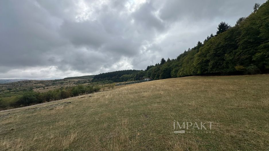 Teren langa Padure | Panorama Superba | Proiect Autorizat | Corusu - Poză 4