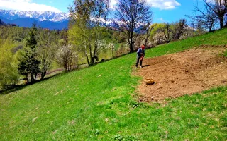 teren intravilan in zona Magura Bran - Poză 11