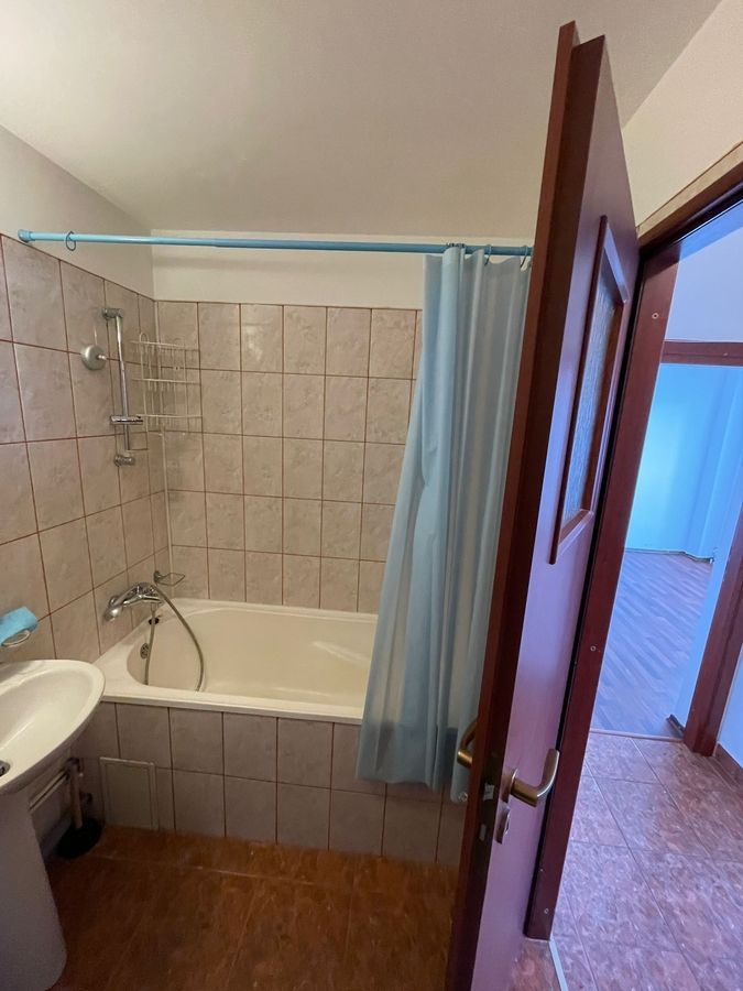 Apartament Banu Manta // Titulescu - Poză 6