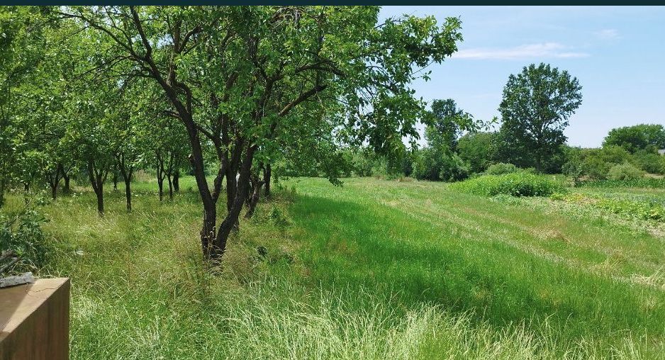 Casa si teren de vanzare - Poză 7