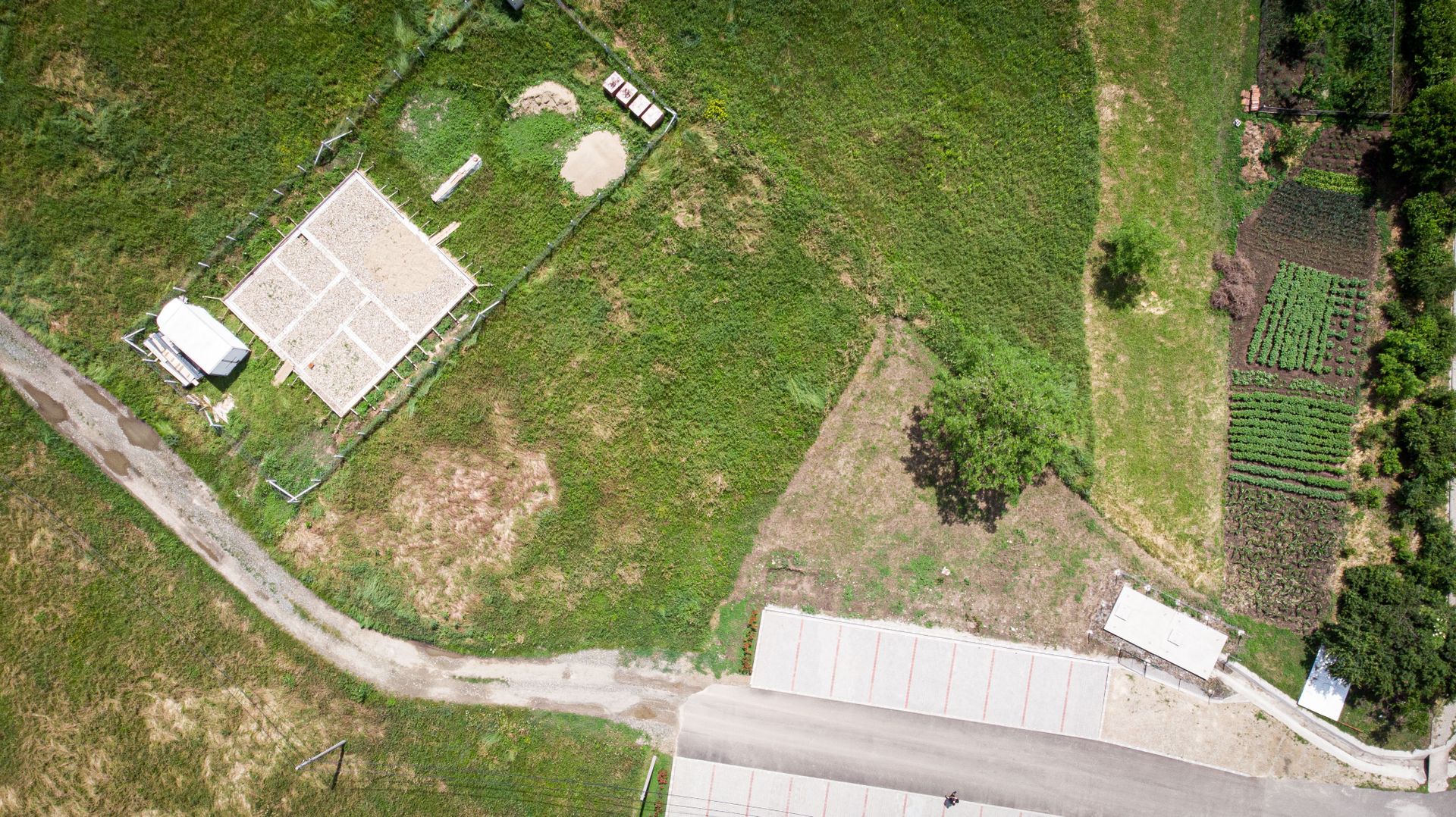 Loc de casa de 712 mp în Zimandul Nou - Poză 8