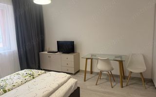 Garsonieră unicala de închiriat Rin Grand Hotel - Poză 3