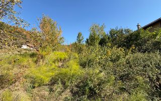 Teren intravilan Făget | 1.490 mp | Front 15 ml | Toate utilitățile - Poză 2