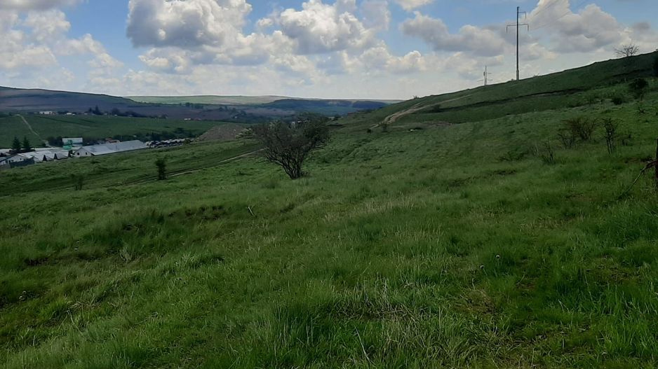 Teren in Valcele - Poză 8