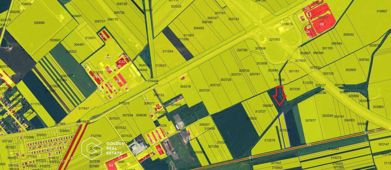 Teren extravilan agricol la pret corect 10.000 mp, Pecica - Poză 2