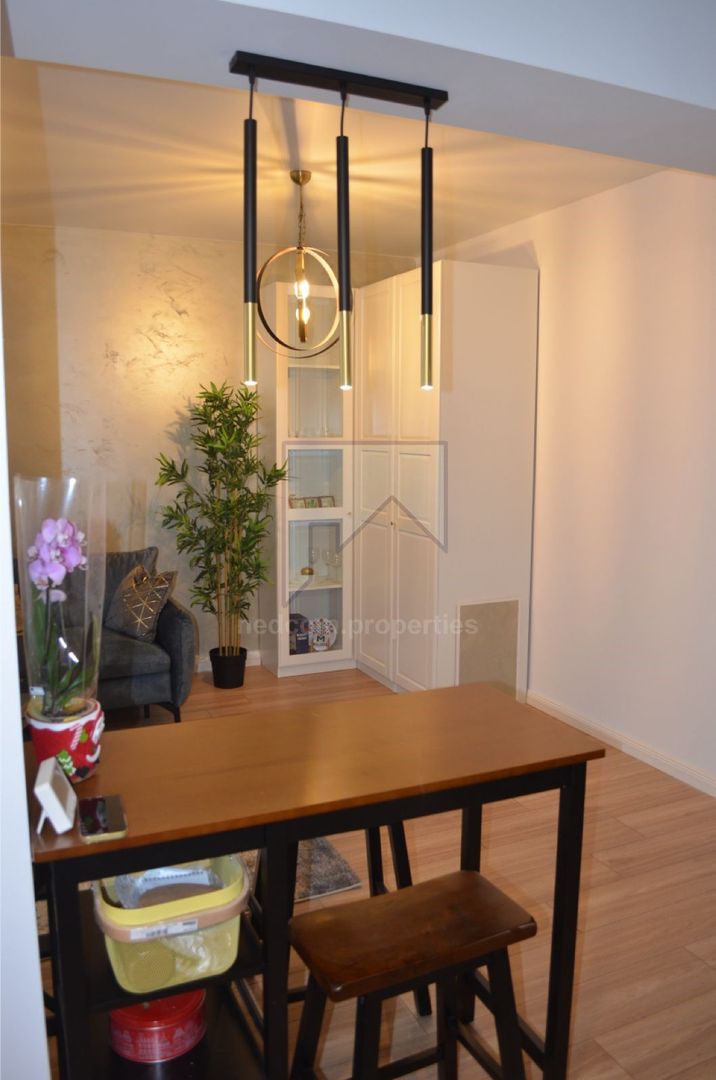 Inchiriere Apartament 2 camere - Palatul Cotroceni_-Leu - Poză 8