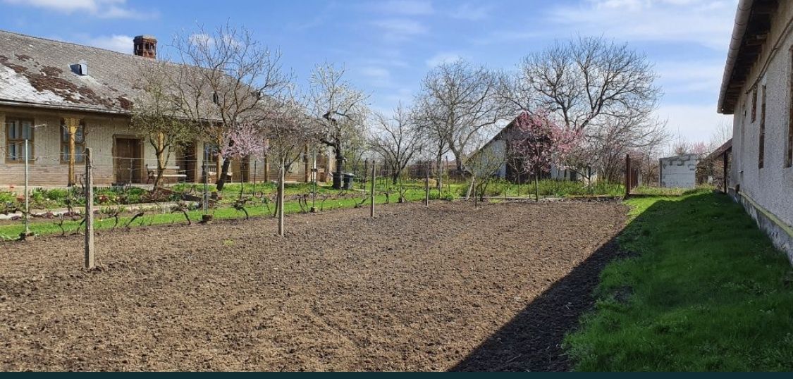 Vand casa in Com.Petresti, ultracentral, 42 ari teren - Poză 5