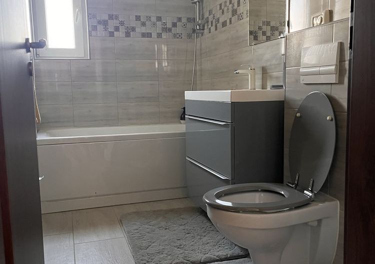 Giroc | 2 Camere | Curte proprie | Mobilat si Utilat - Poză 5