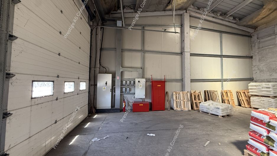 Hala depozitare 1.250 mp | Acces TIR | Zona logistica Giarmata - Poză 3