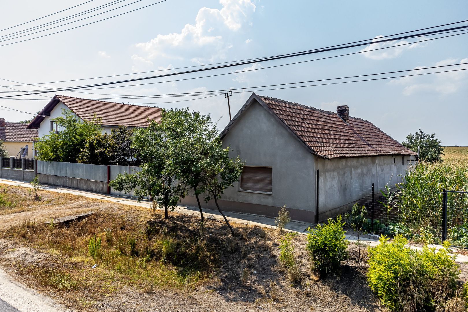 Casă Variasu Mare Jud. Arad cu teren 16883 mp - Poză 5
