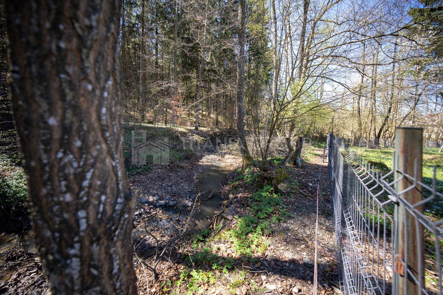 Teren intravilan, pretabil pentru casa de vacanta, 2000 mp - Poză 19