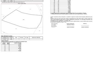Oportunitate Investitie | Teren Pestera | 2.090mp | Utilitati Gaz/Curent | PUZ - Poză 11