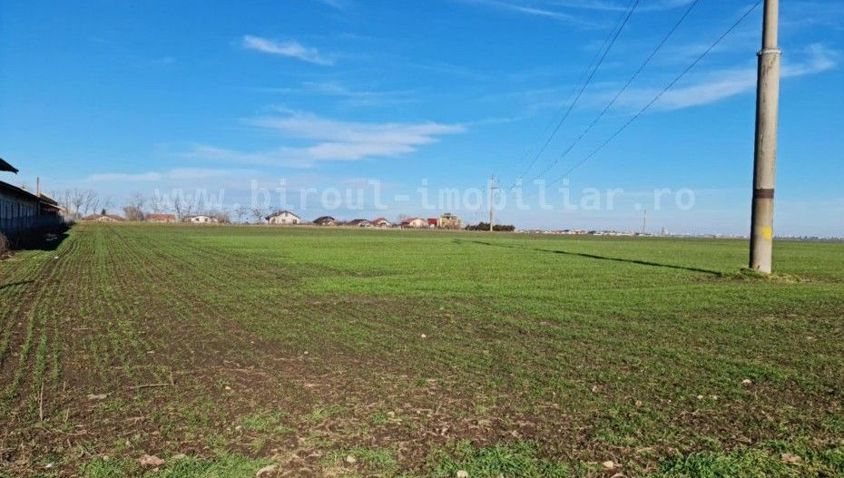 Vânzare Teren Intravilan pentru Casă/Vilă sau Alte Proiecte - Poză 2