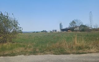 Teren | 10,000 MP | Extravilan | Posibilitate de parcelare | Cristian - Poză 2