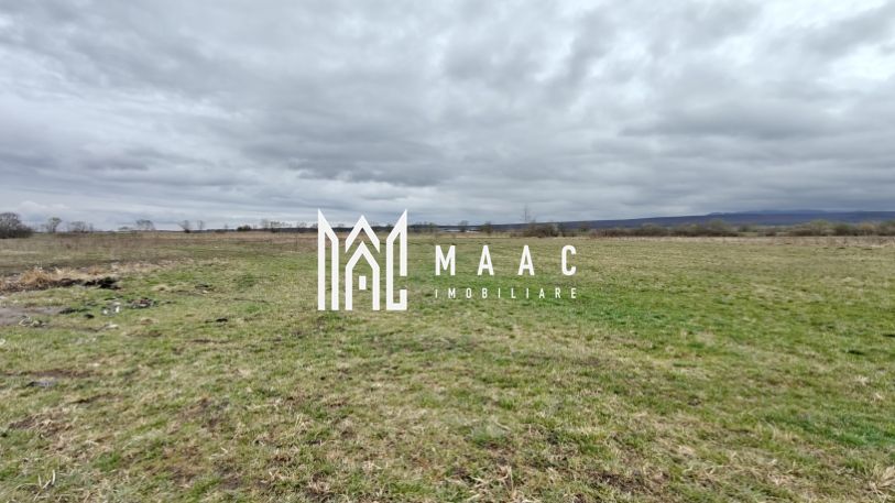 Teren extravilan I 2400 mp I Arabil I Teren drept I Cristian - Poză 2