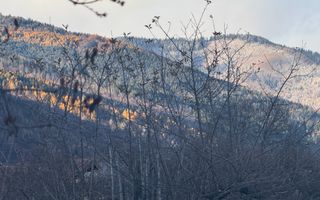 VILA 4 CAMERE, LERESTI, TEREN 3489 MP COMISION 0% CUMPARATOR - Poză 61