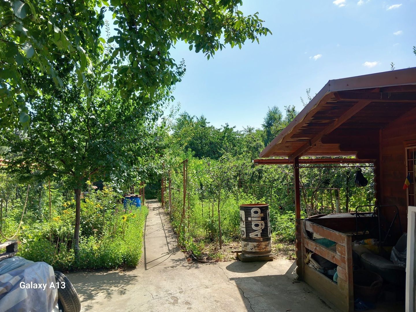 Ag EUROPA vinde teren BERCU ROSU toate utilitatile și casa vacanta. - Poză 2