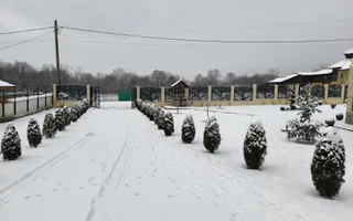 Vilă premium P+1 în Crasna, autonomie, 2.775 mp teren - Poză 38