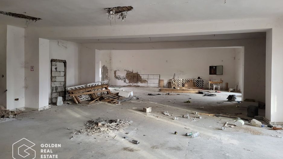 Proprietate tip conac, teren 4468 mp, oras Lipova - Poză 6