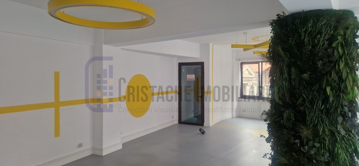 Vila P+2, suprafata 380 mp, Principatele Unite, Piata Unirii - Poză 12