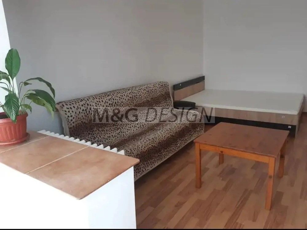 Apartament 1 camera zona Buziasului - Poză 3