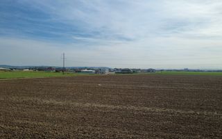 InvestZone vinde 10 ha la Santandrei - Poză 3