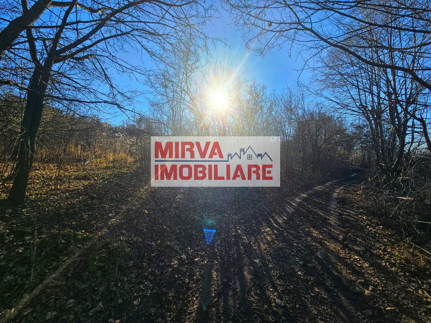 Teren intravilan 1.000 mp – Seciu, 2 deschideri, Priveliște panoramica - Poză 14